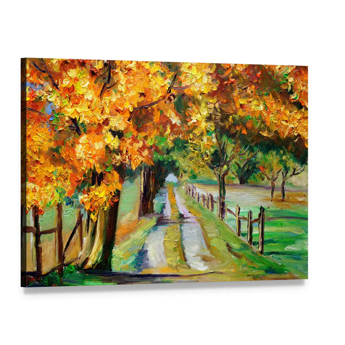 Country Road Through Golden Maples Canvas Wall Art, single panel gallery wrapped canvas, angled product view