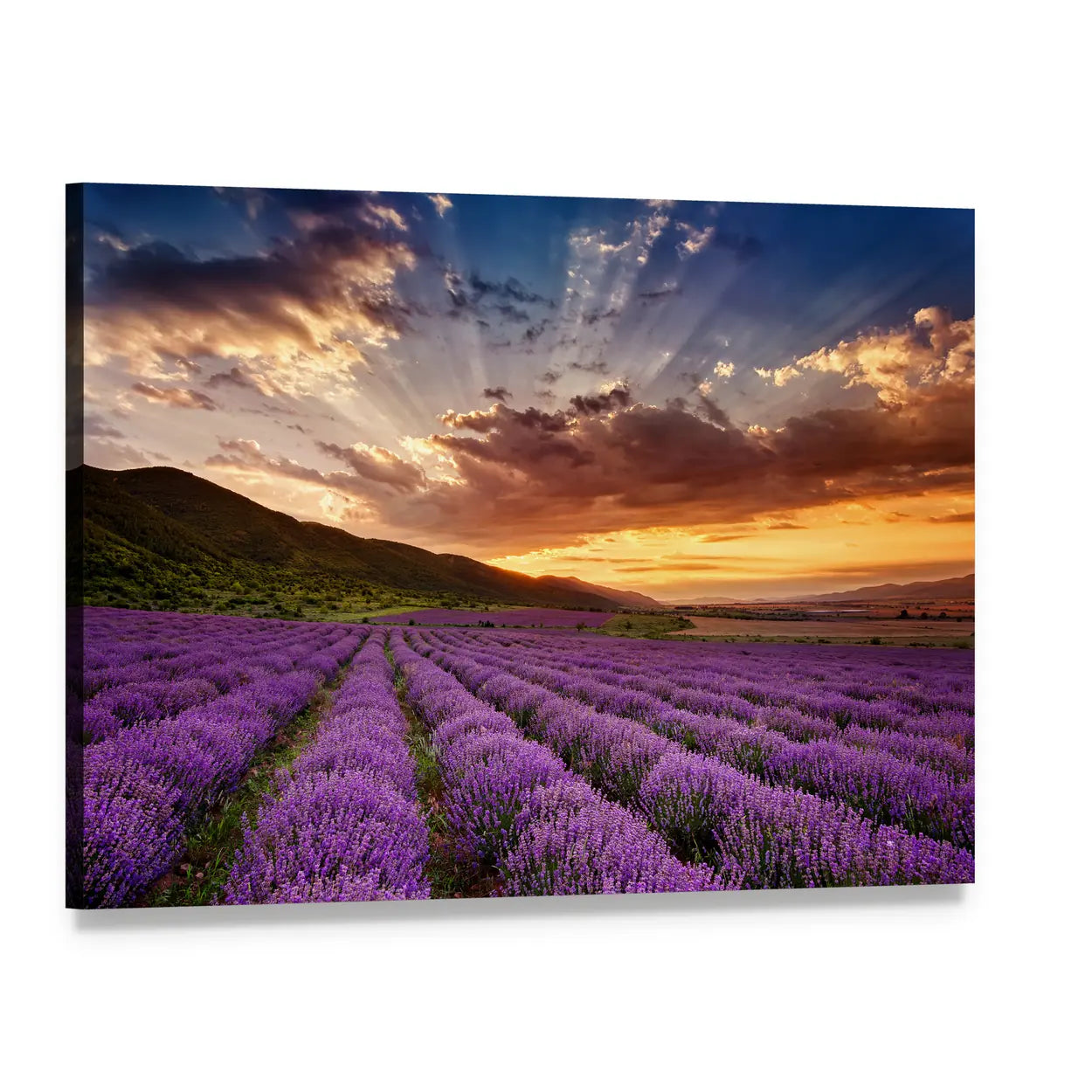 Sunset Over Lavender Field and Mountains Canvas Wall Art, single panel gallery wrapped canvas, angled product view