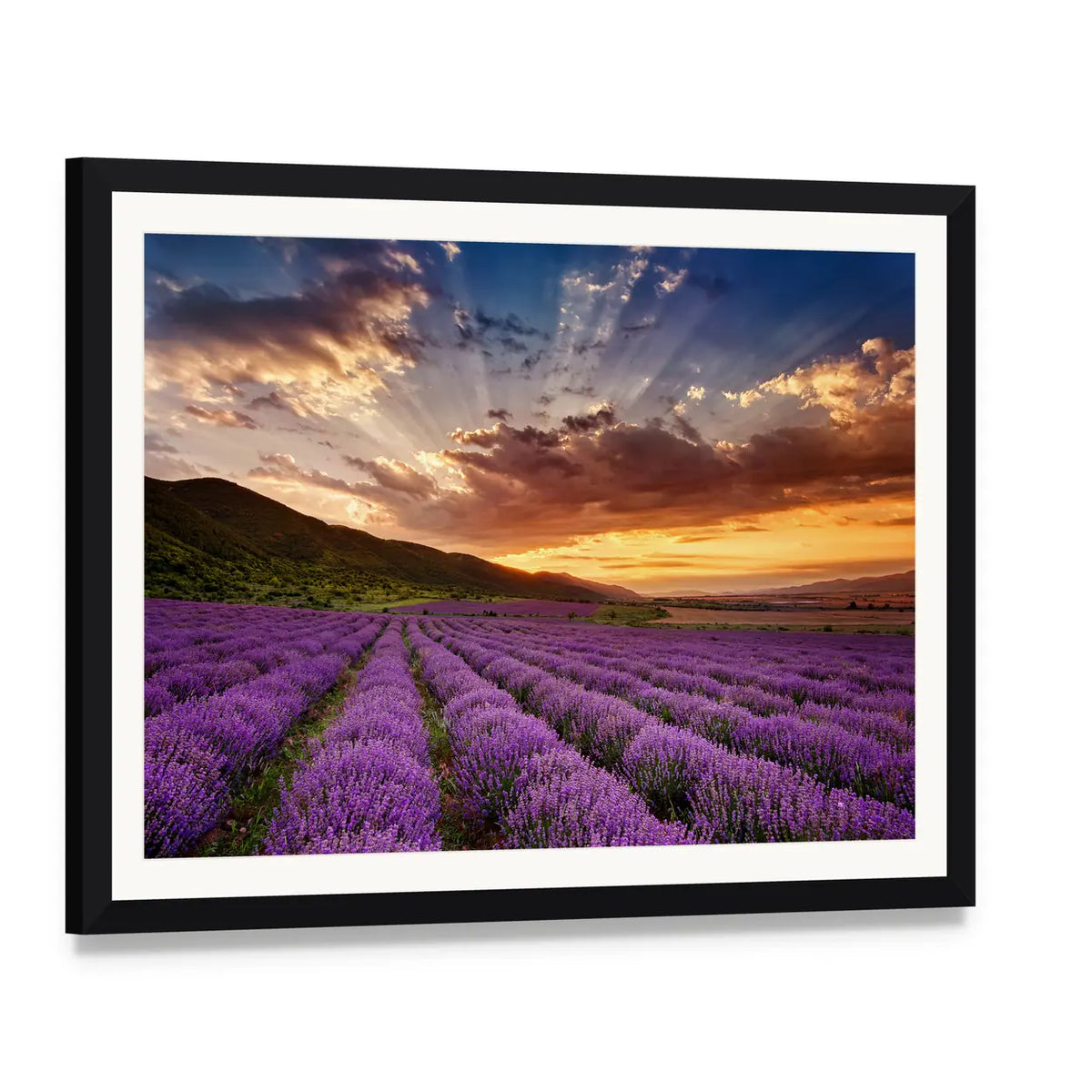 Sunset Over Lavender Field and Mountains Canvas Wall Art, framed print with white mat and black frame, angled product view