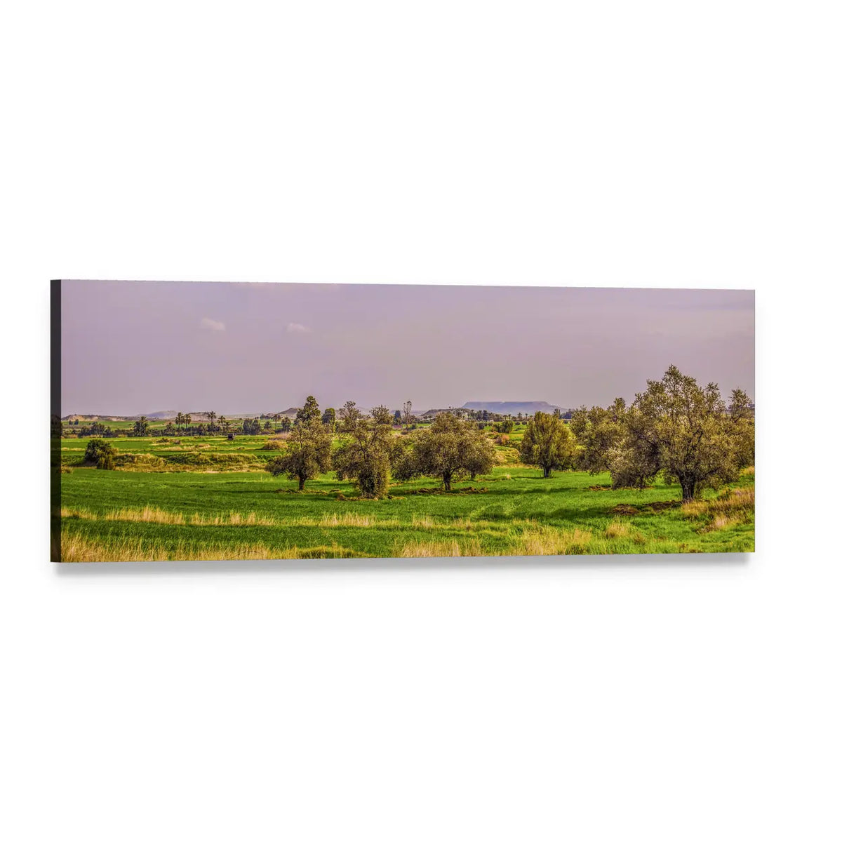 Lavender Sky Over Green Fields Panoramic Canvas Wall Art, single panel gallery wrapped canvas, angled product view