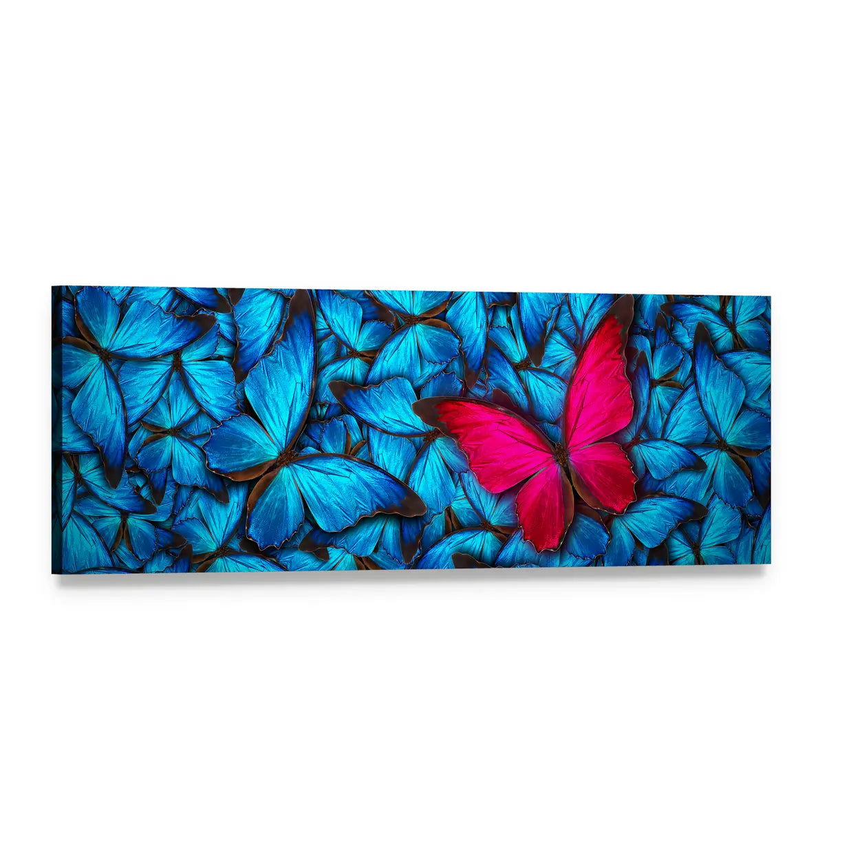 Magenta Butterfly Among Turquoise Swarm Panoramic Canvas Wall Art, single panel gallery wrapped canvas, angled product view