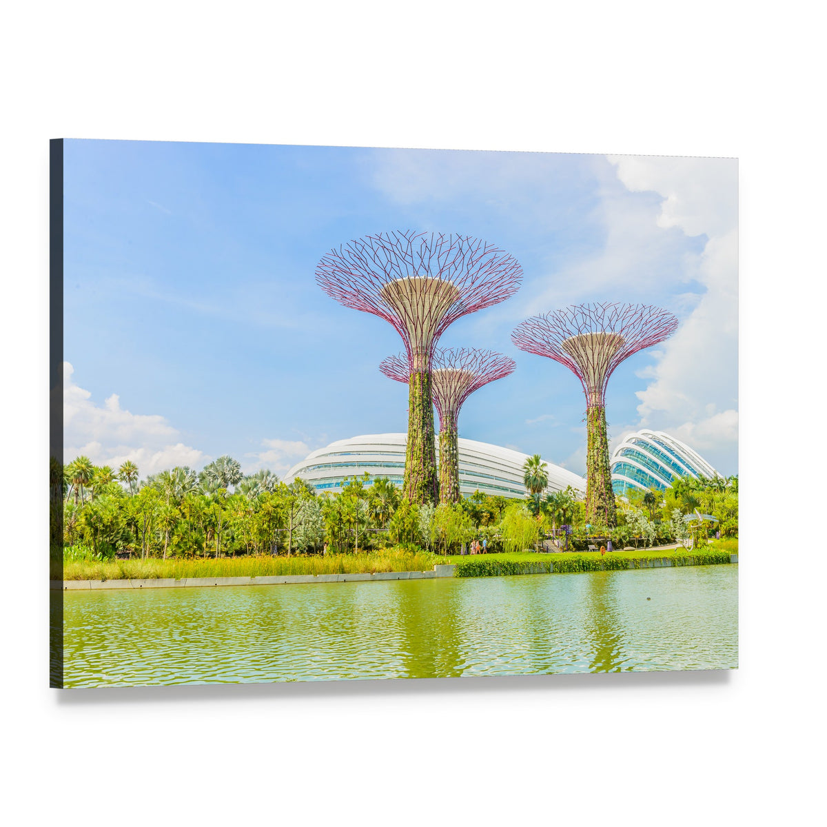 Gardens by the Bay Supertrees Canvas Wall Art, single panel gallery wrapped canvas, angled product view