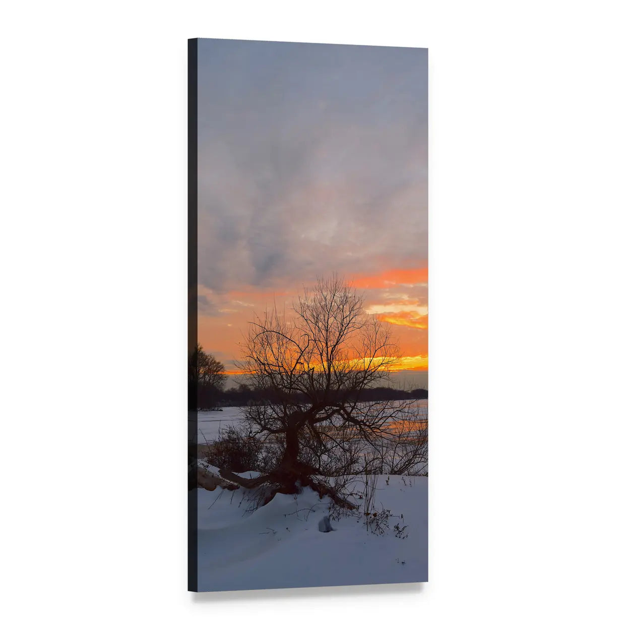 Gnarled Tree at Sunset Over Frozen Lake Vertical Canvas Wall Art, 1 panel 1 Vertical layout gallery wrapped canvas set, angled product view