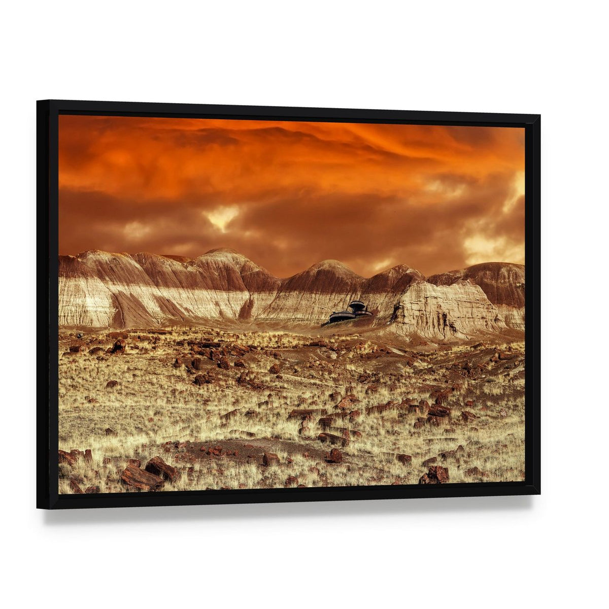 Base on Mars Abstract Canvas Wall Art, framed canvas in a black floater frame, angled product view