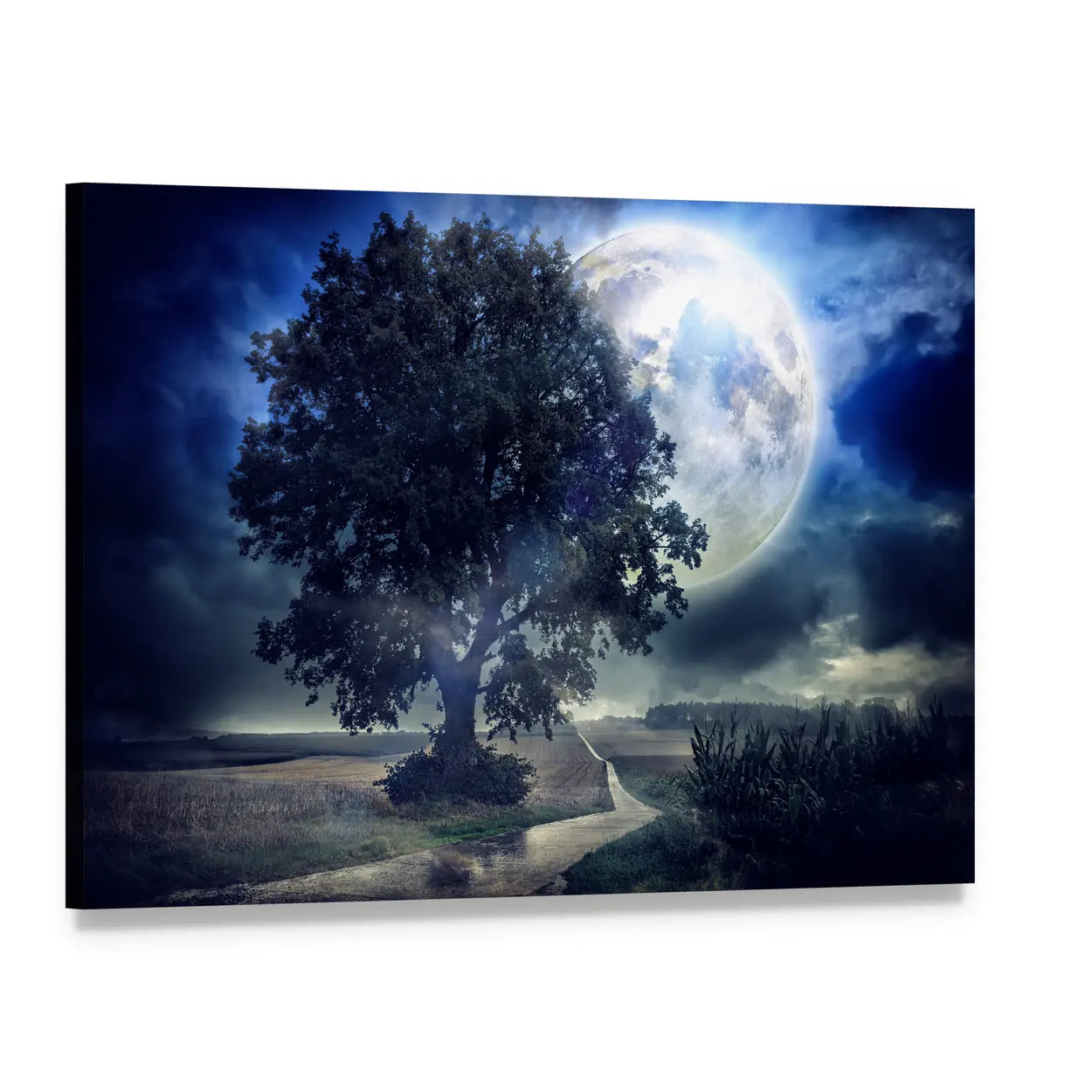 Moon Over Corn Field Canvas Wall Art, single panel gallery wrapped canvas, angled product view