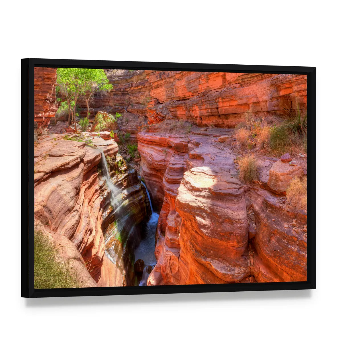 Deer Creek Canyon Canvas Wall Art, framed canvas in a black floater frame, angled product view