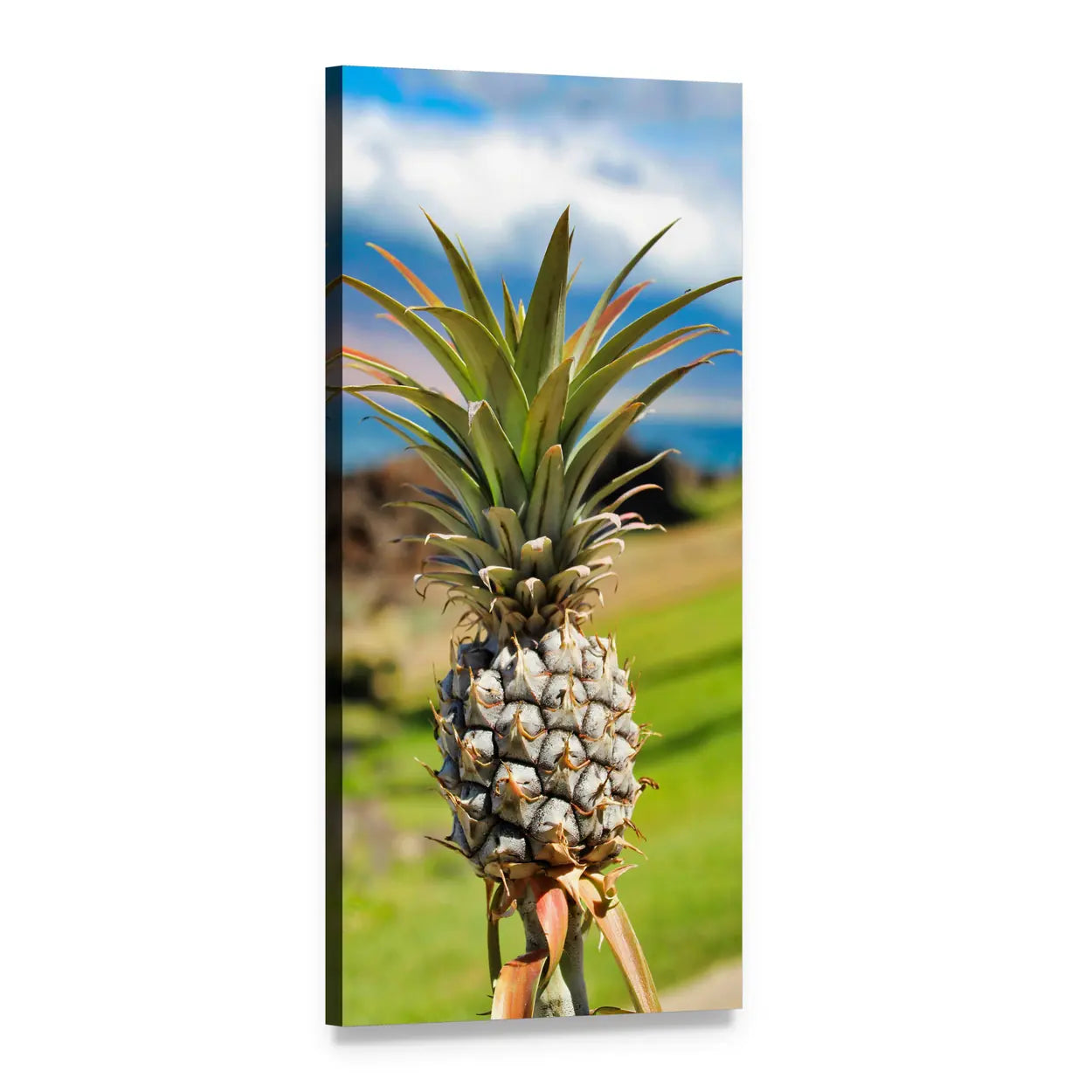 Tropical Pineapple by the Ocean Vertical Canvas Wall Art, 1 panel 1 Vertical layout gallery wrapped canvas set, angled product view