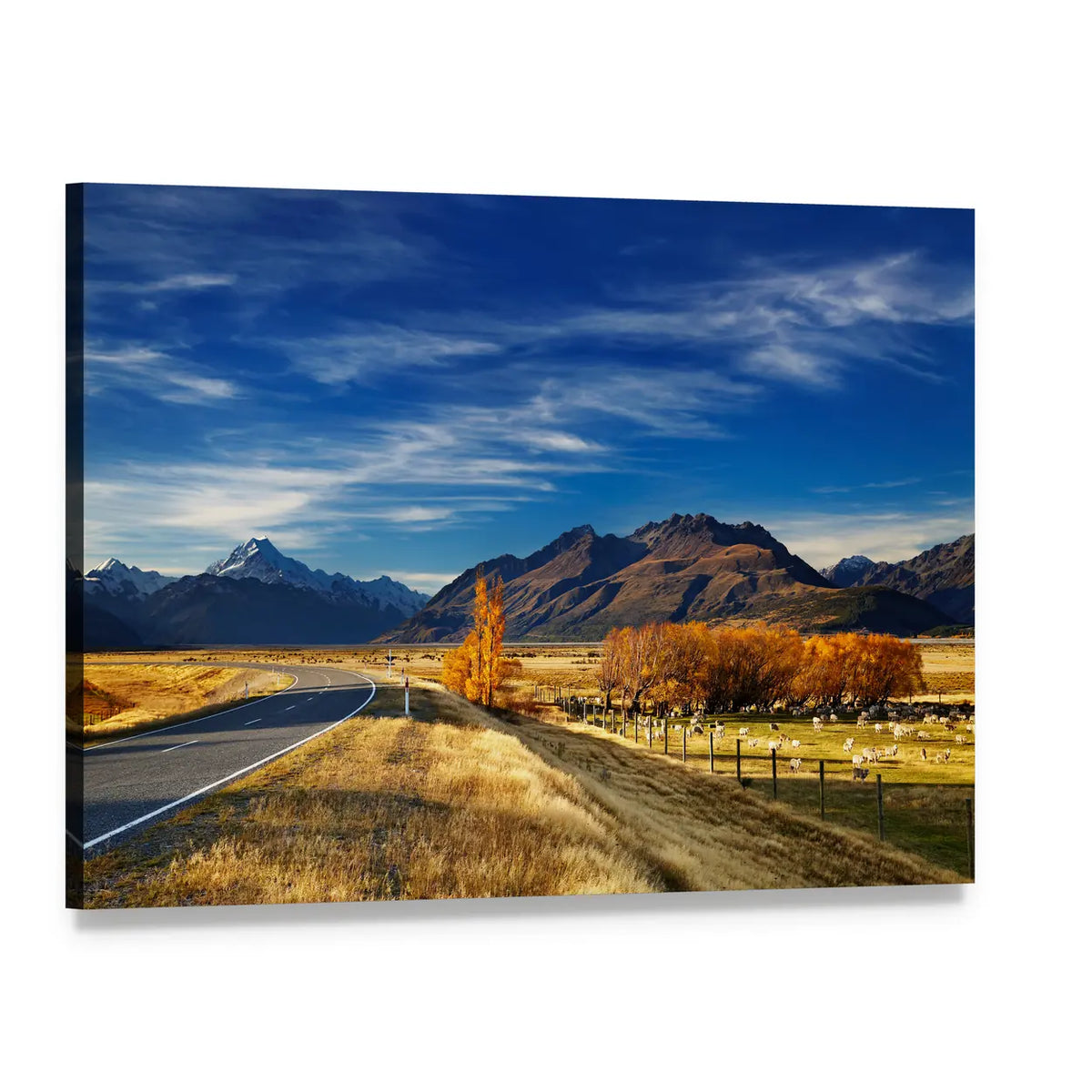 Farmland with Mount Cook Canvas Wall Art, single panel gallery wrapped canvas, angled product view