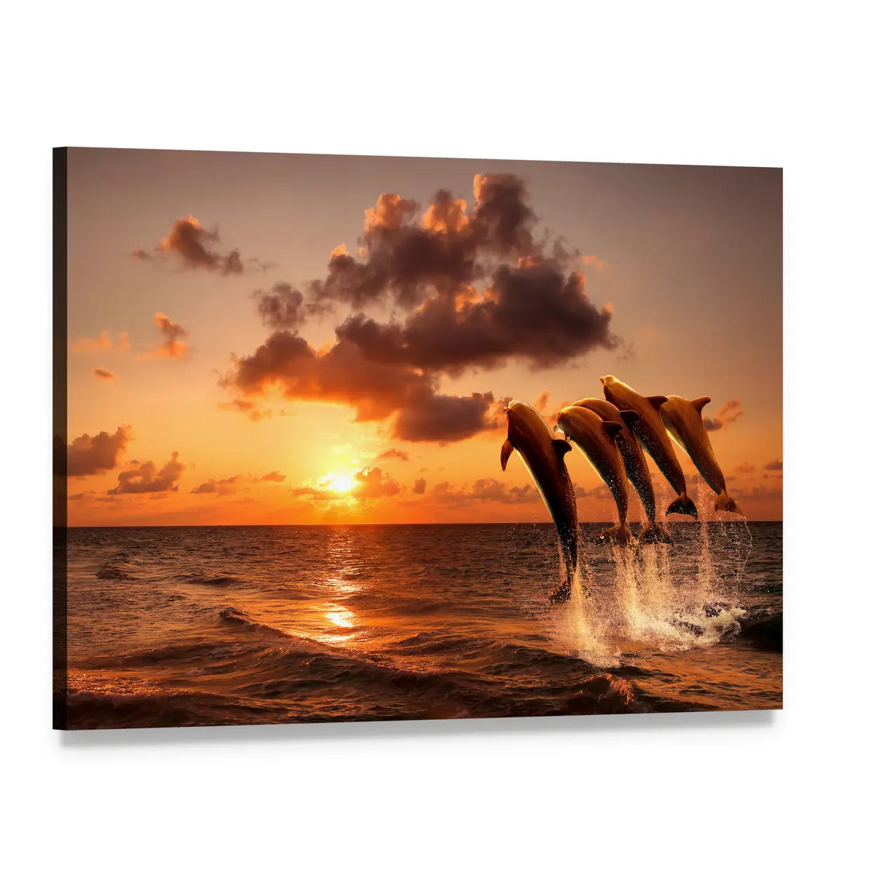 Four Dolphins at Sunset Canvas Wall Art, single panel gallery wrapped canvas, angled product view
