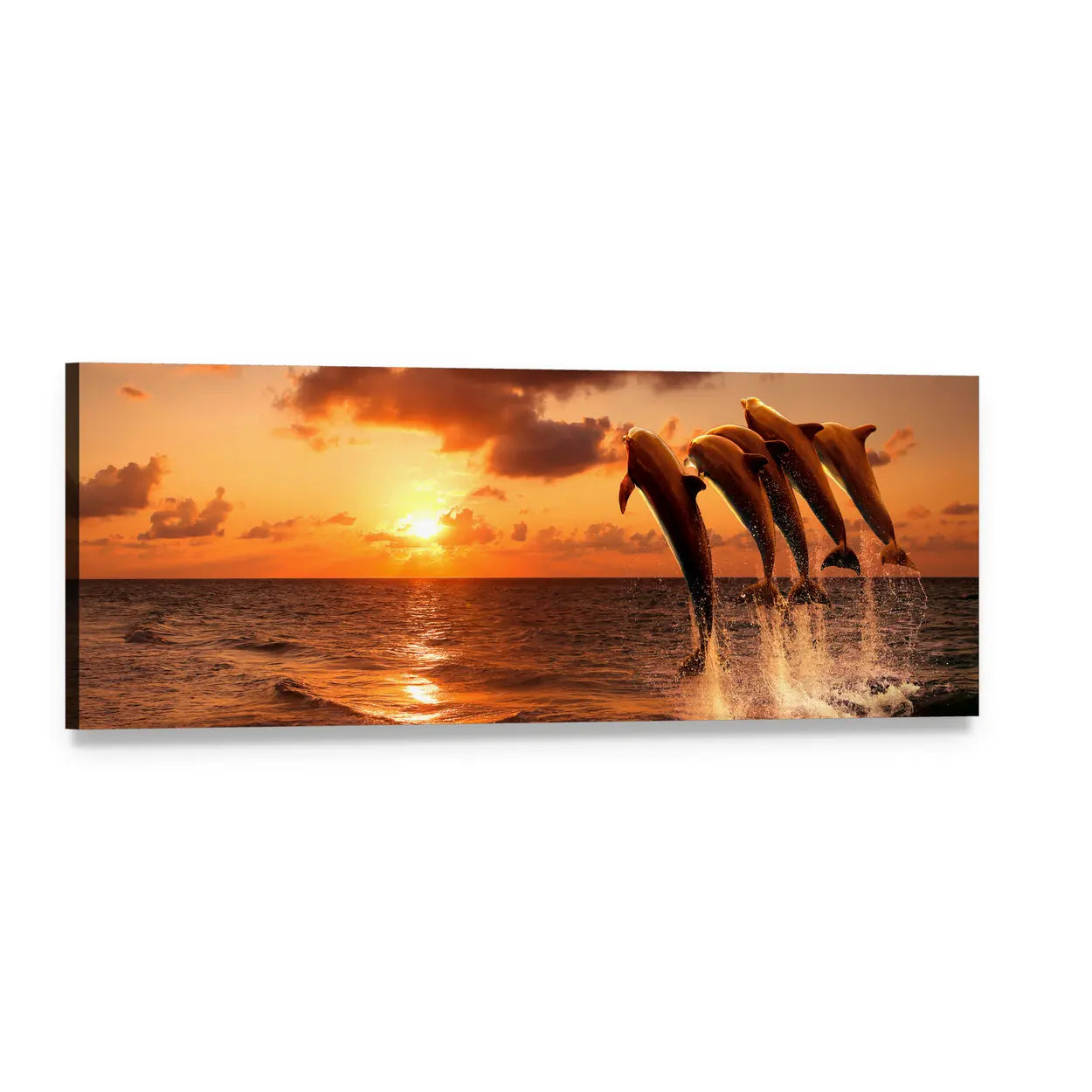 Jumping Dolphins at Sunset Panoramic Canvas Wall Art, single panel gallery wrapped canvas, angled product view