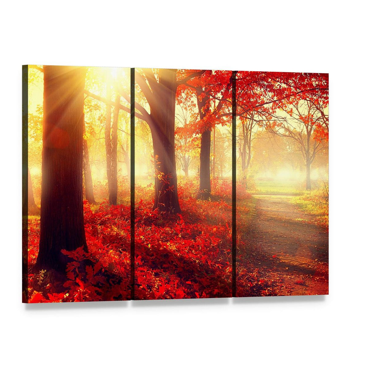 Scenic Autumn Forest Canvas Wall Art, 3 panel 3 Horizontal layout gallery wrapped canvas set, angled product view