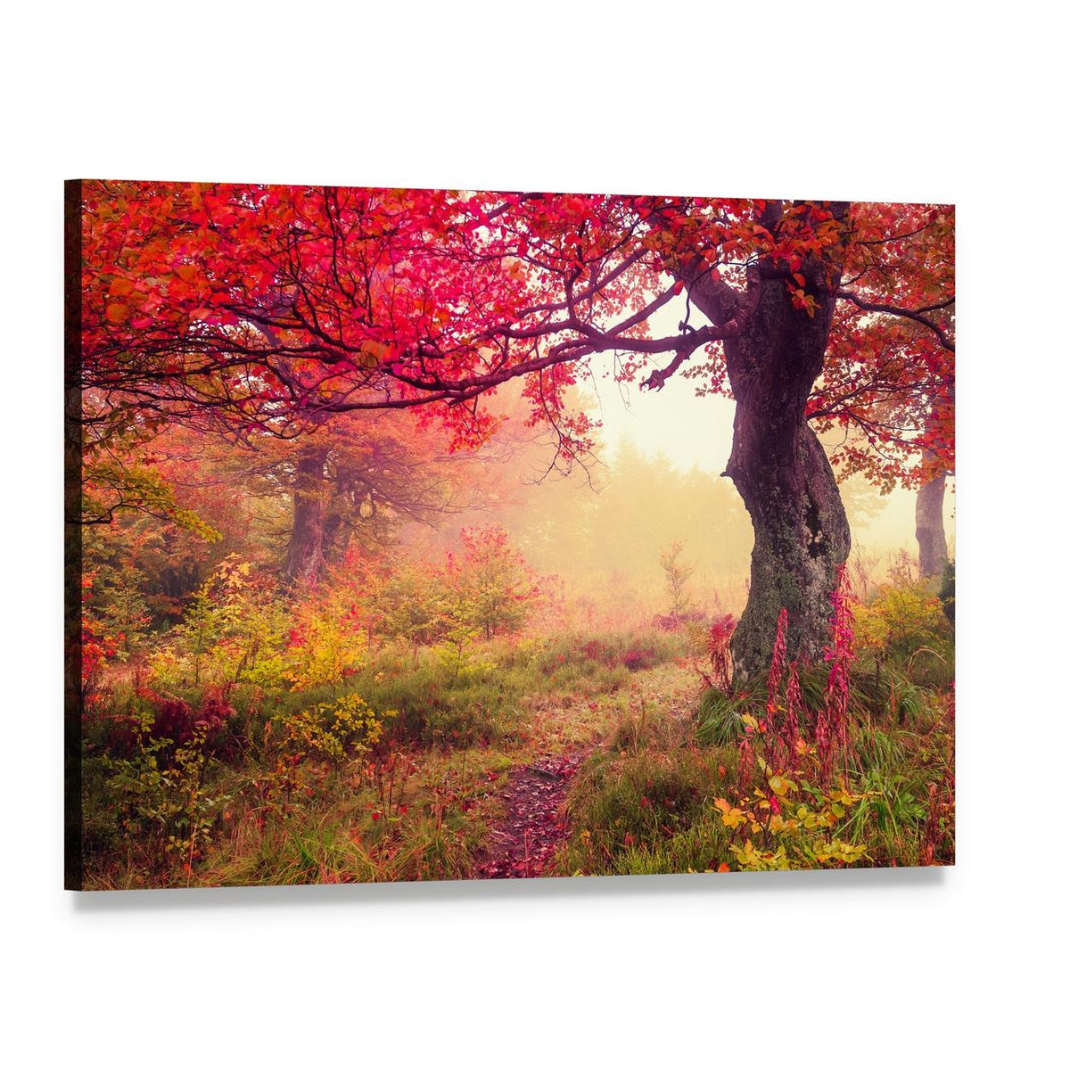 Autumn Forest Path Canvas Wall Art, single panel gallery wrapped canvas, angled product view