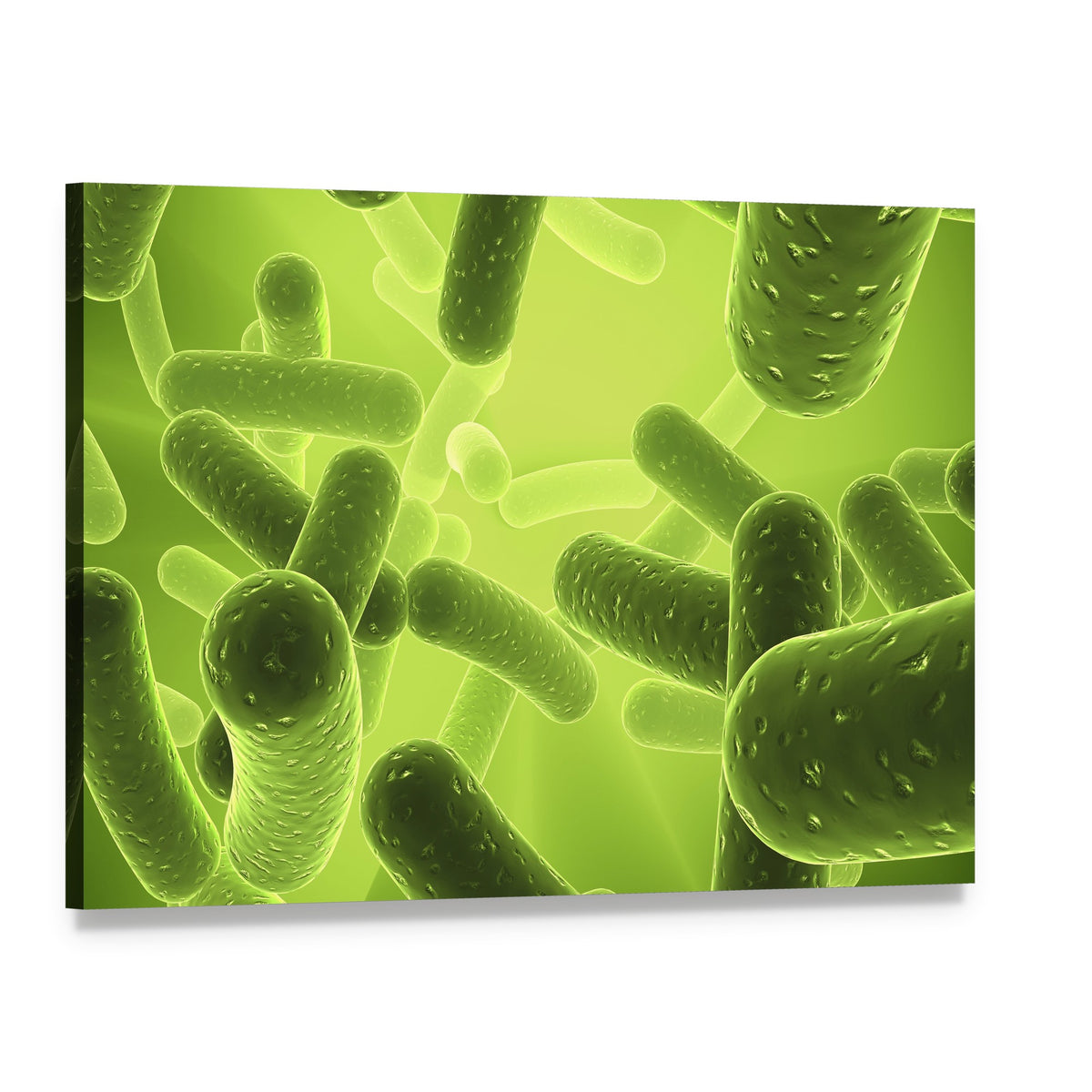Structure of Bacteria Canvas Wall Art, single panel gallery wrapped canvas, angled product view