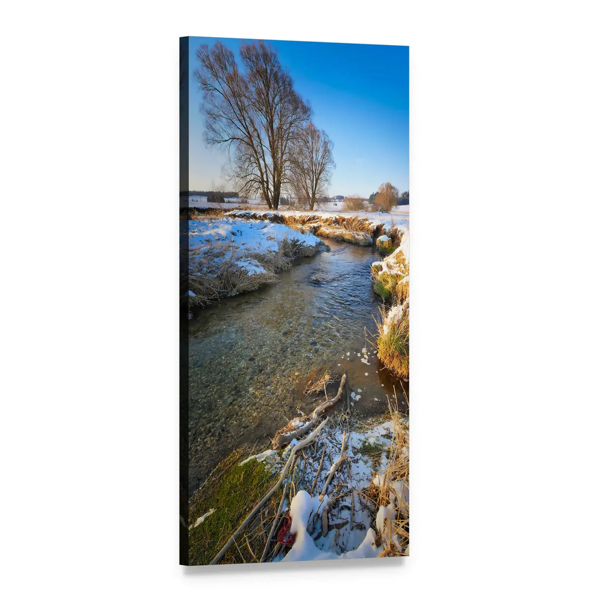 Winter Stream with Frosted Foliage Vertical Canvas Wall Art, 1 panel 1 Vertical layout gallery wrapped canvas set, angled product view