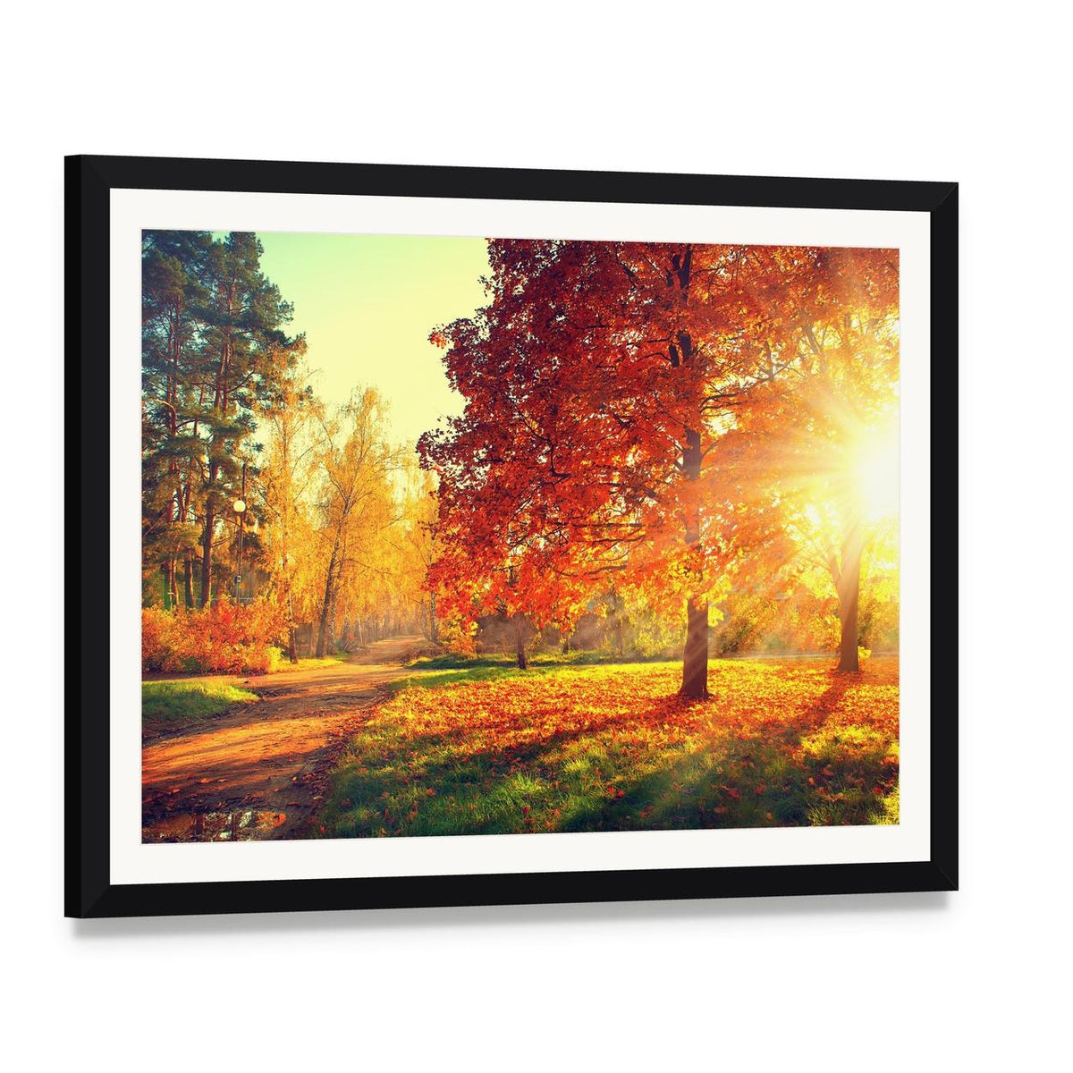 Colorful Autumn Morning Canvas Wall Art, framed print with white mat and black frame, angled product view