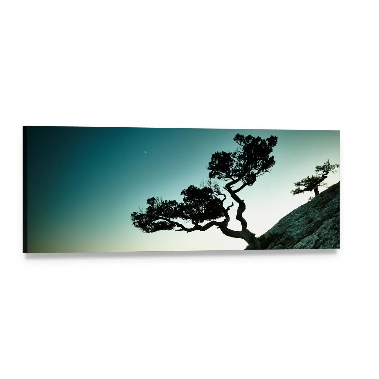 Gnarled Tree at Sunset Over the Sea Panoramic Canvas Wall Art, single panel gallery wrapped canvas, angled product view