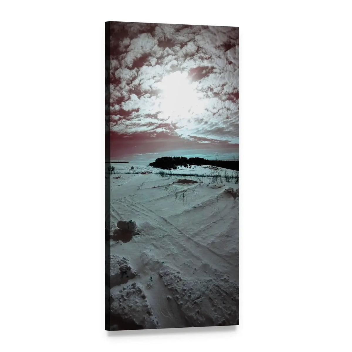 Snowy Field with Tire Tracks Vertical Canvas Wall Art, 1 panel 1 Vertical layout gallery wrapped canvas set, angled product view