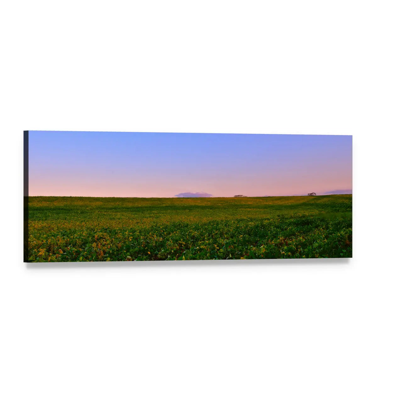 Evening Over Spanish Fields Panoramic Canvas Wall Art, single panel gallery wrapped canvas, angled product view