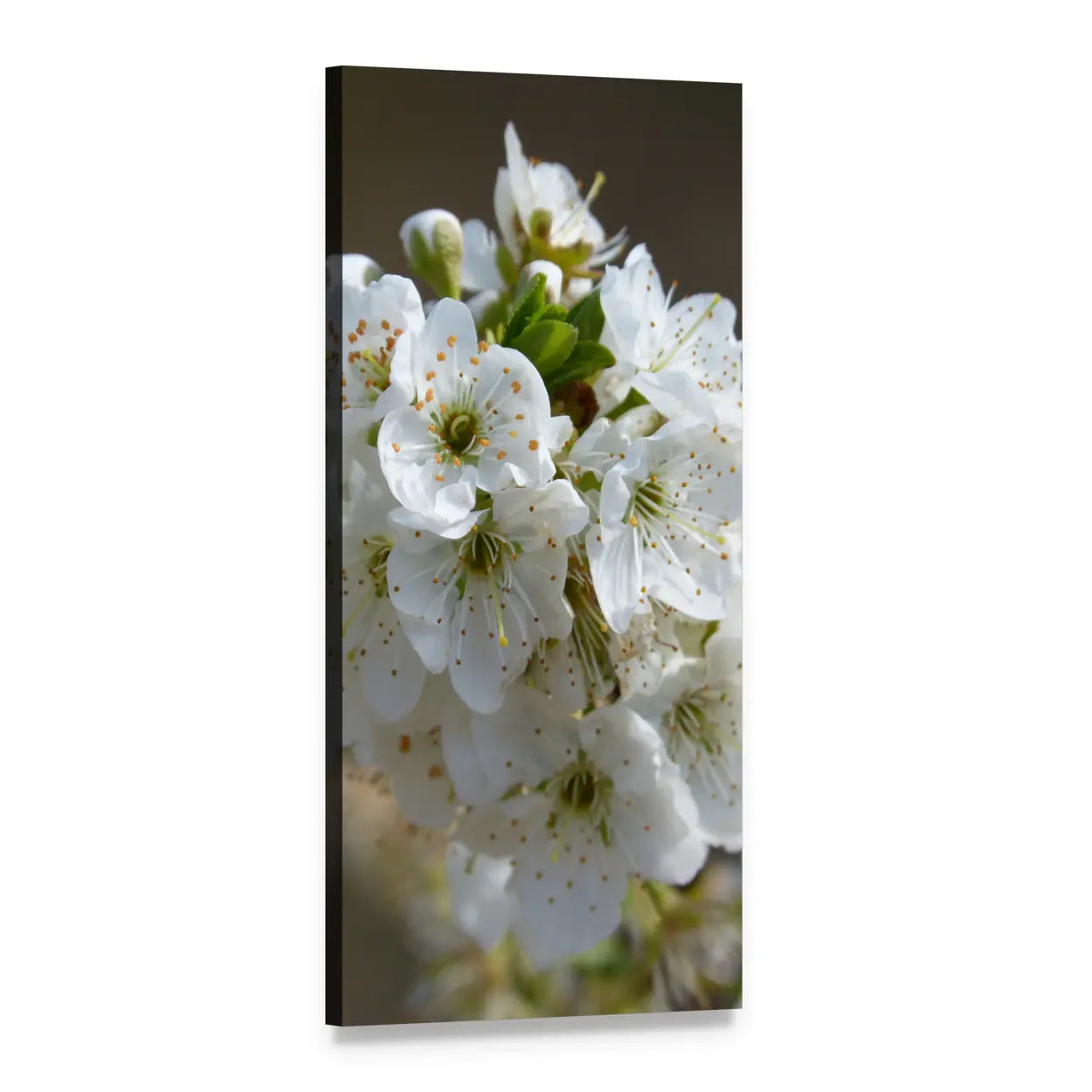 White Flower Branch on Tree Vertical Canvas Wall Art, 1 panel 1 Vertical layout gallery wrapped canvas set, angled product view