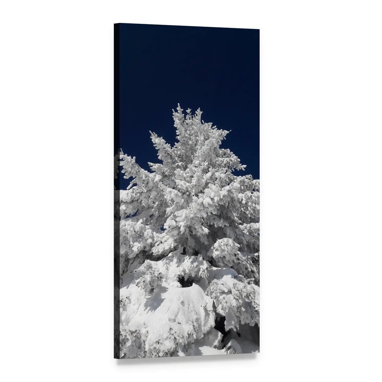 Snow-covered Pine Against Navy Sky Vertical Canvas Wall Art, 1 panel 1 Vertical layout gallery wrapped canvas set, angled product view