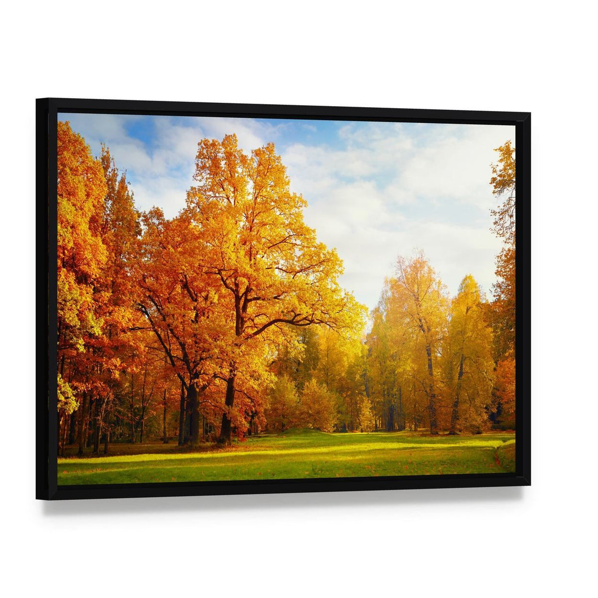 Trees in Autumn Landscape Canvas Wall Art, framed canvas in a black floater frame, angled product view