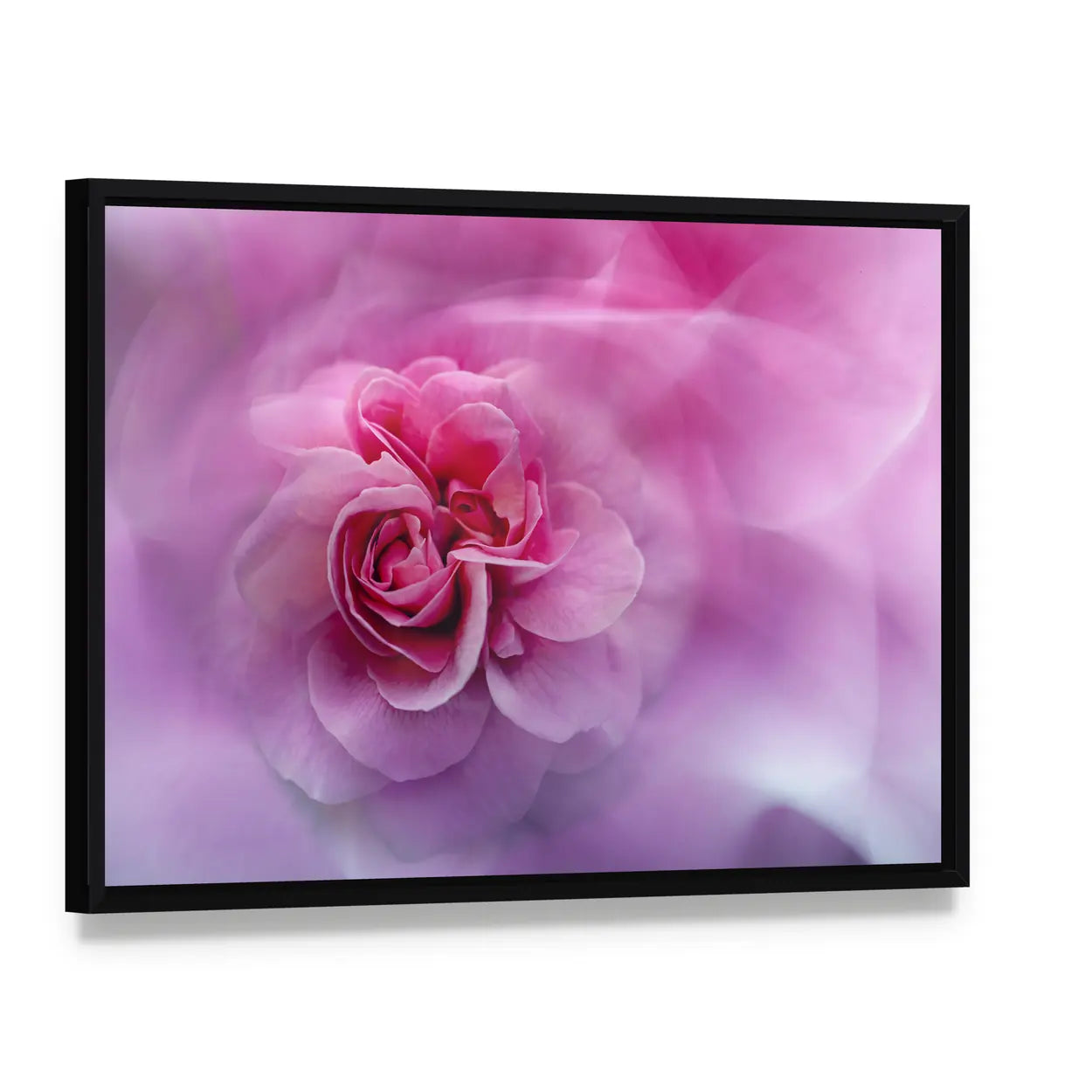 Scenic Rose Abstract Canvas Wall Art, framed canvas in a black floater frame, angled product view