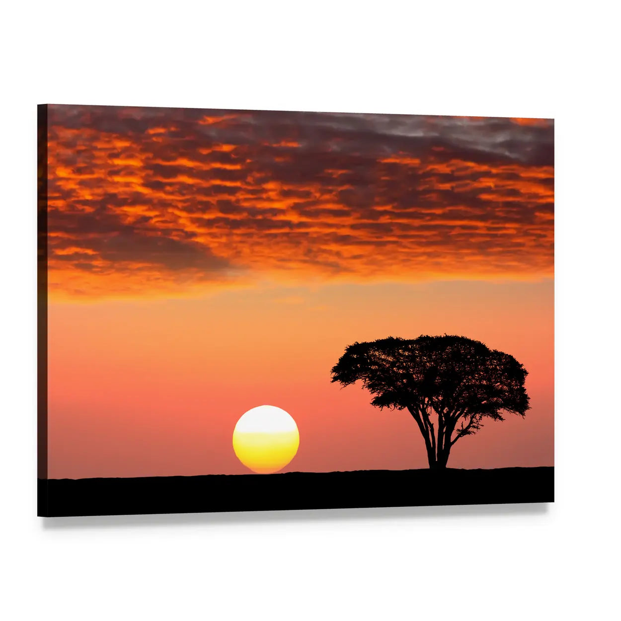 Sunset In The Serengeti Park In Tanzania Canvas Wall Art, single panel gallery wrapped canvas, angled product view