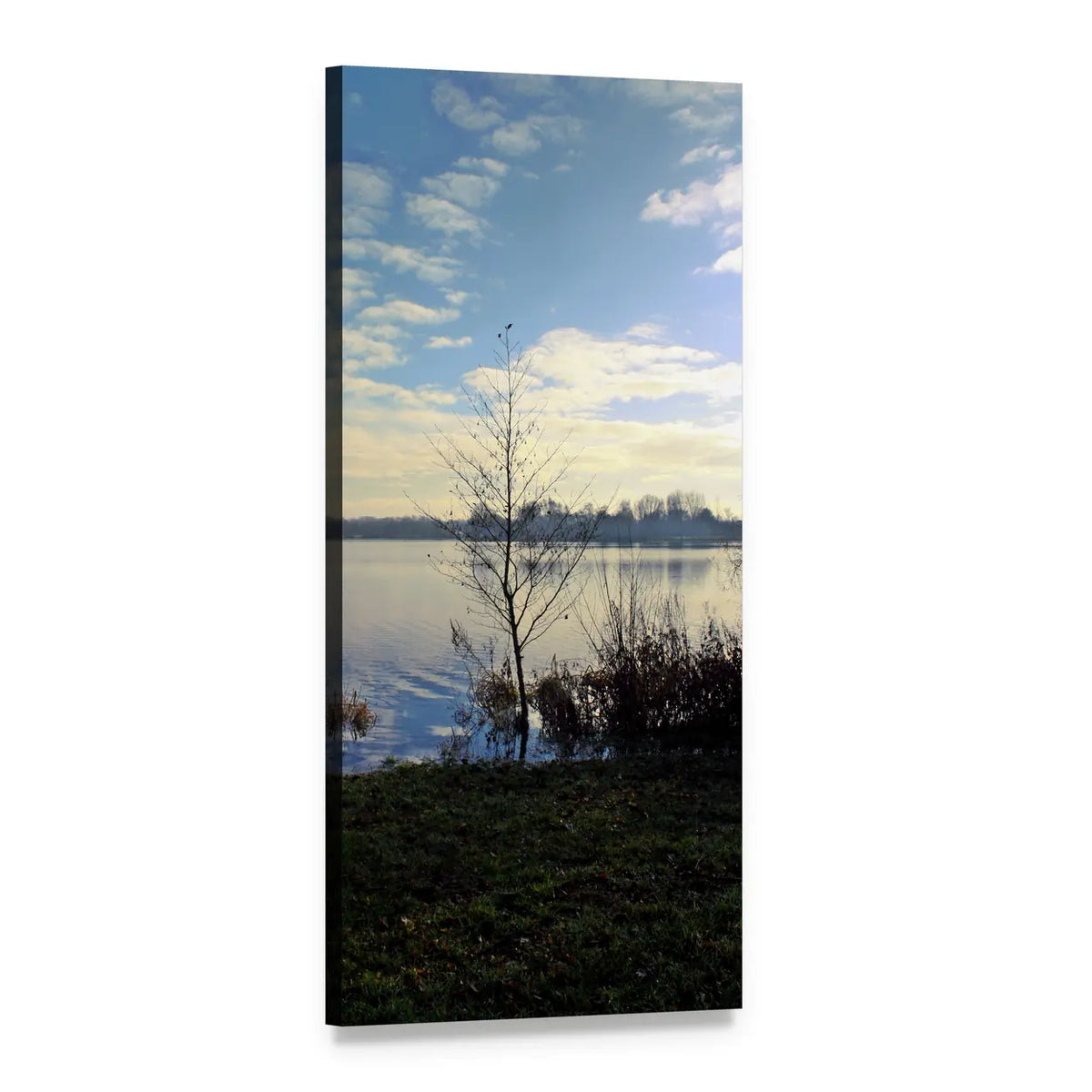Leafless Tree by Calm Lake Vertical Canvas Wall Art, 1 panel 1 Vertical layout gallery wrapped canvas set, angled product view