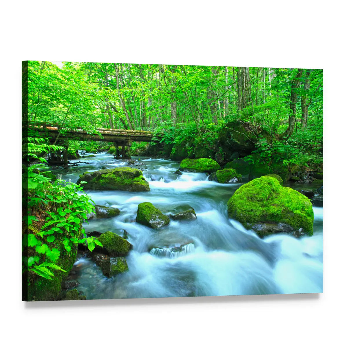 Stream In Spring Forest Canvas Wall Art, single panel gallery wrapped canvas, angled product view