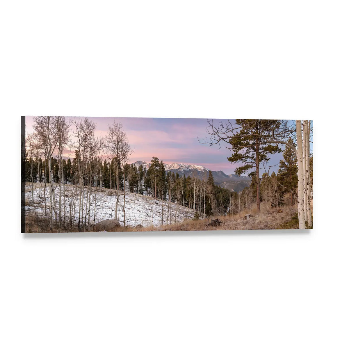 Winter Aspen Forest at Twilight Panoramic Canvas Wall Art, single panel gallery wrapped canvas, angled product view