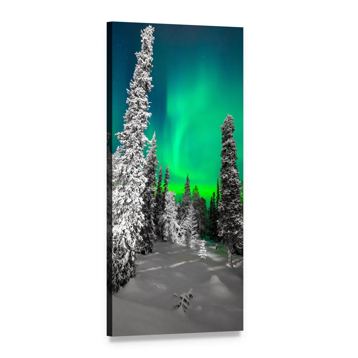 Northern Lights Over Snow-covered Pines Vertical Canvas Wall Art, 1 panel 1 Vertical layout gallery wrapped canvas set, angled product view