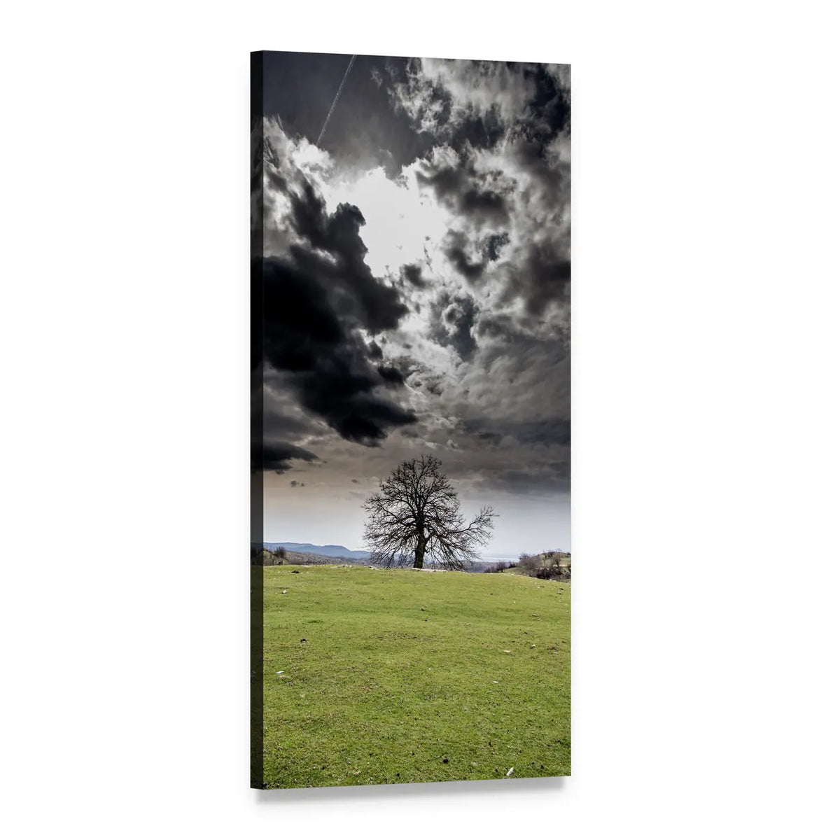 Tree Under Stormy Sky Vertical Canvas Wall Art, 1 panel 1 Vertical layout gallery wrapped canvas set, angled product view