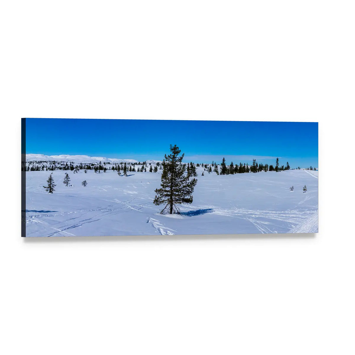 Norwegian Winter Pine Landscape Panoramic Canvas Wall Art, single panel gallery wrapped canvas, angled product view