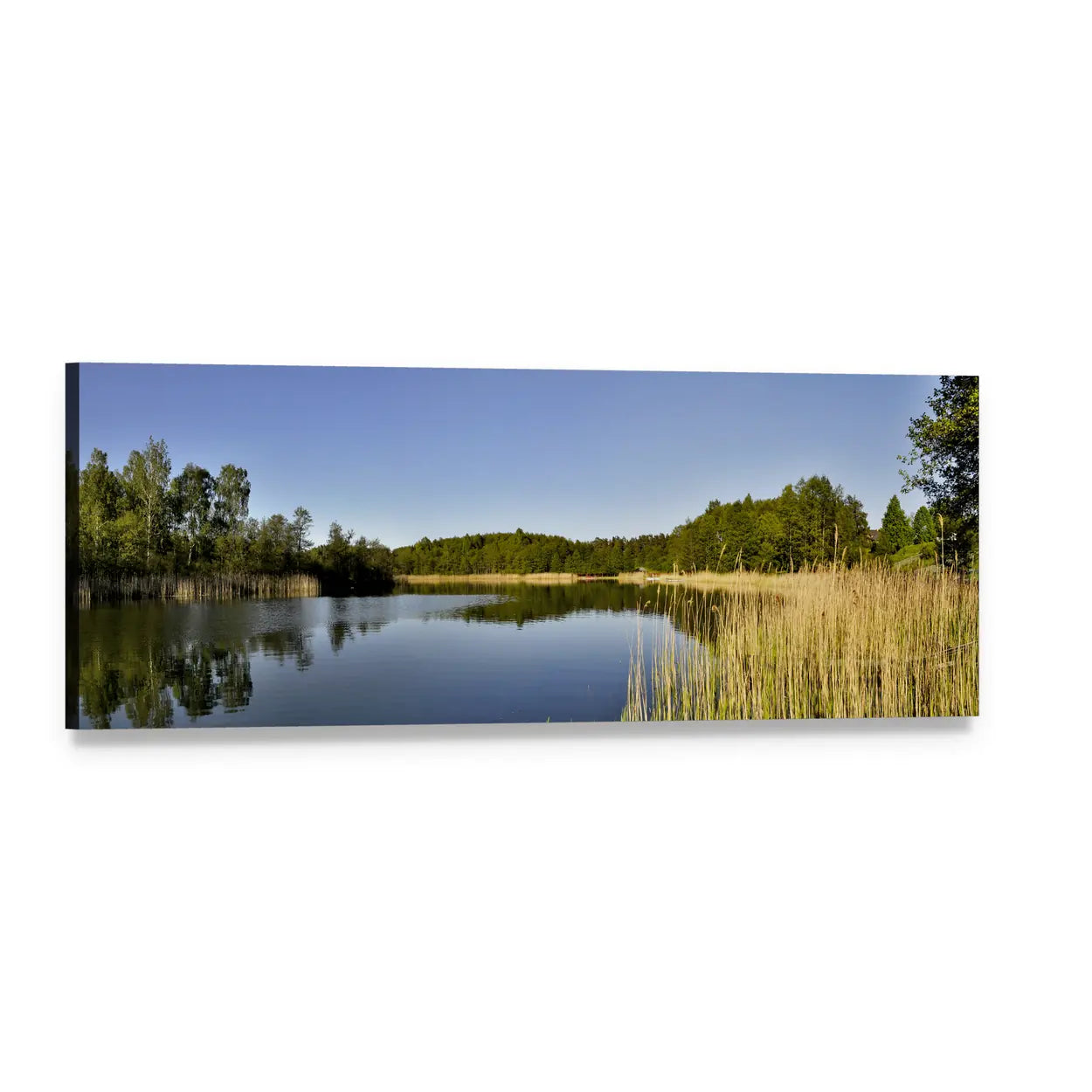Forest Reflection on Lake Panoramic Canvas Wall Art, single panel gallery wrapped canvas, angled product view