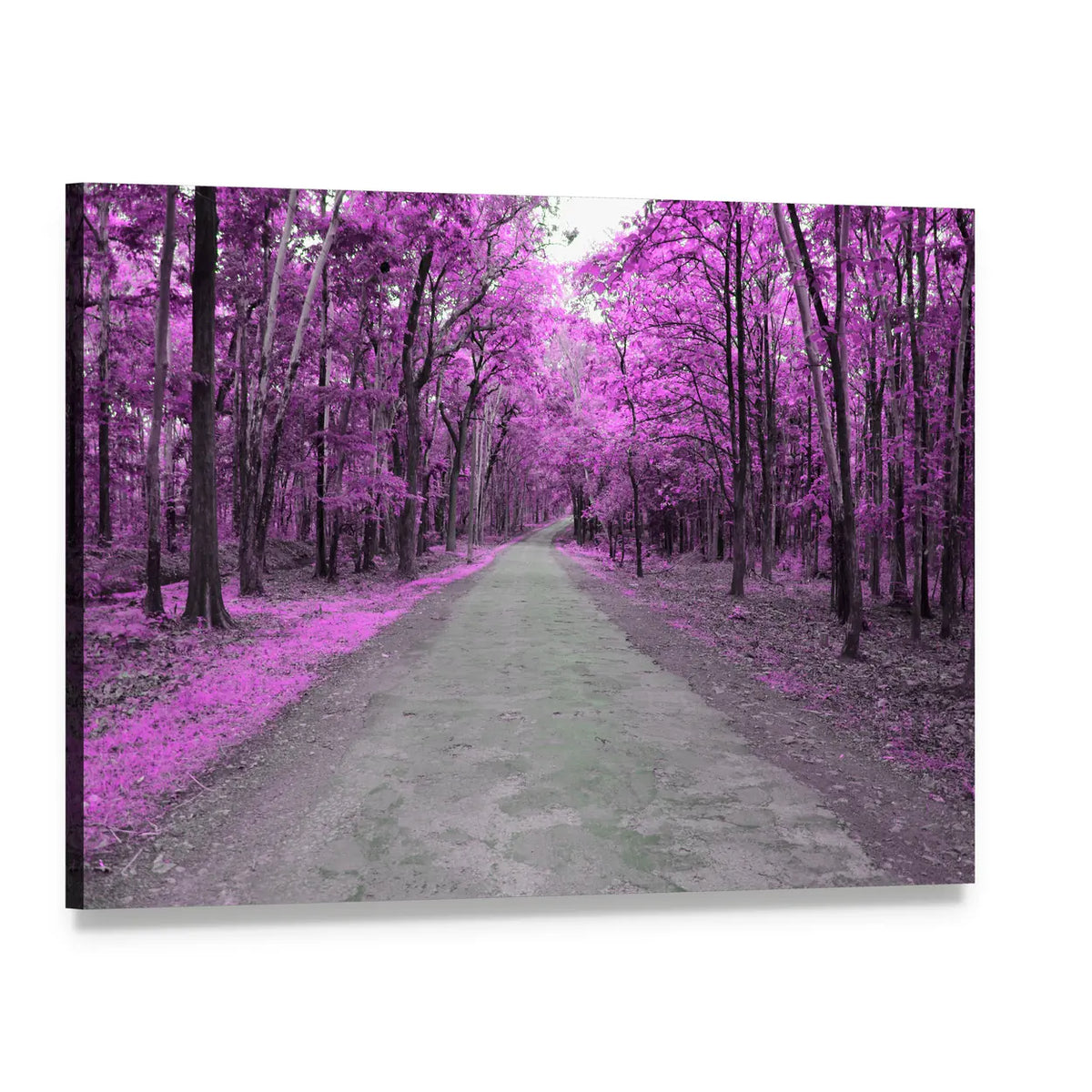 Forest Road In Autumn Canvas Wall Art, single panel gallery wrapped canvas, angled product view