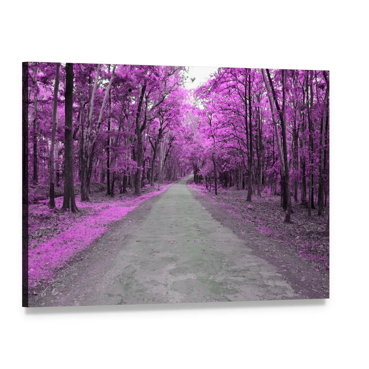 Forest Road In Autumn Canvas Wall Art, single panel gallery wrapped canvas, angled product view