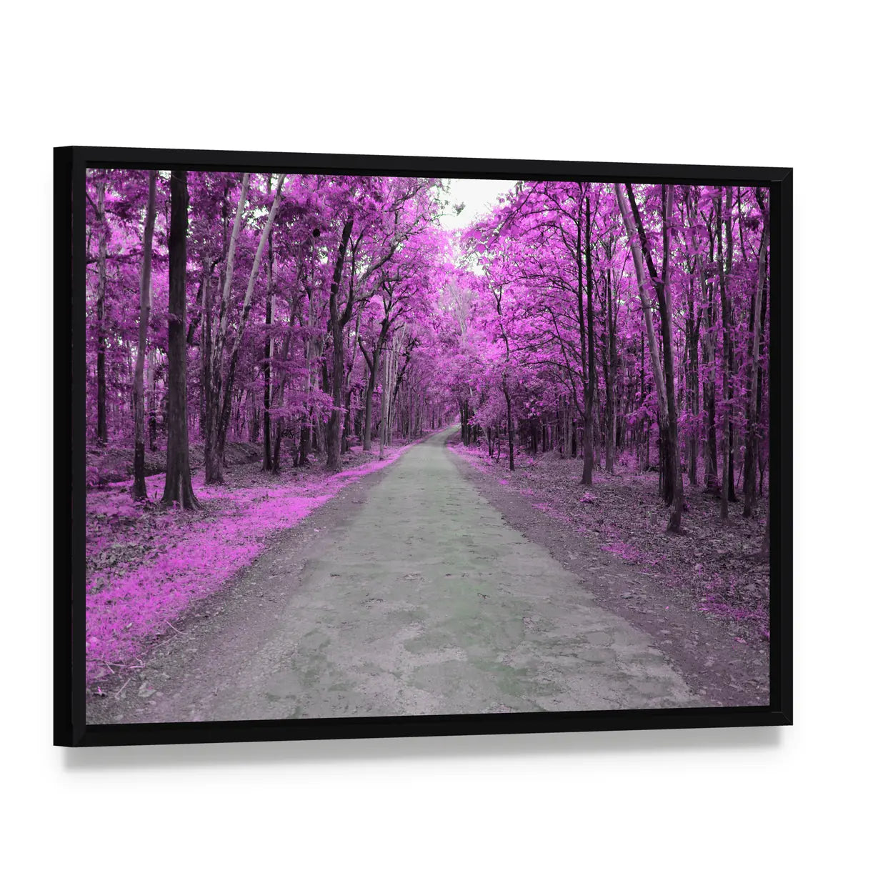 Forest Road In Autumn Canvas Wall Art, framed canvas in a black floater frame, angled product view