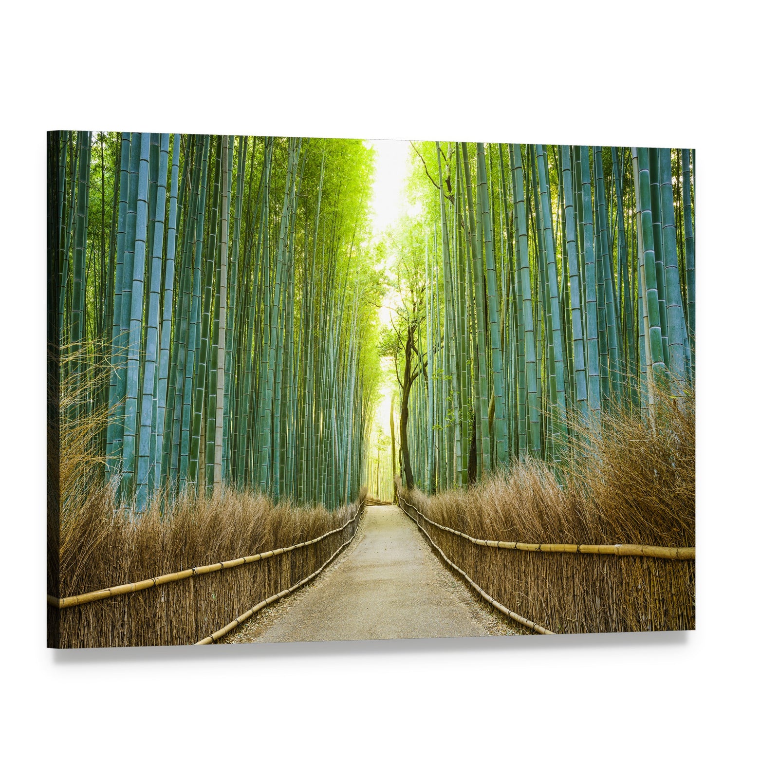 Tranquil Bamboo Forest Path Canvas Wall Art, single panel gallery wrapped canvas, angled product view