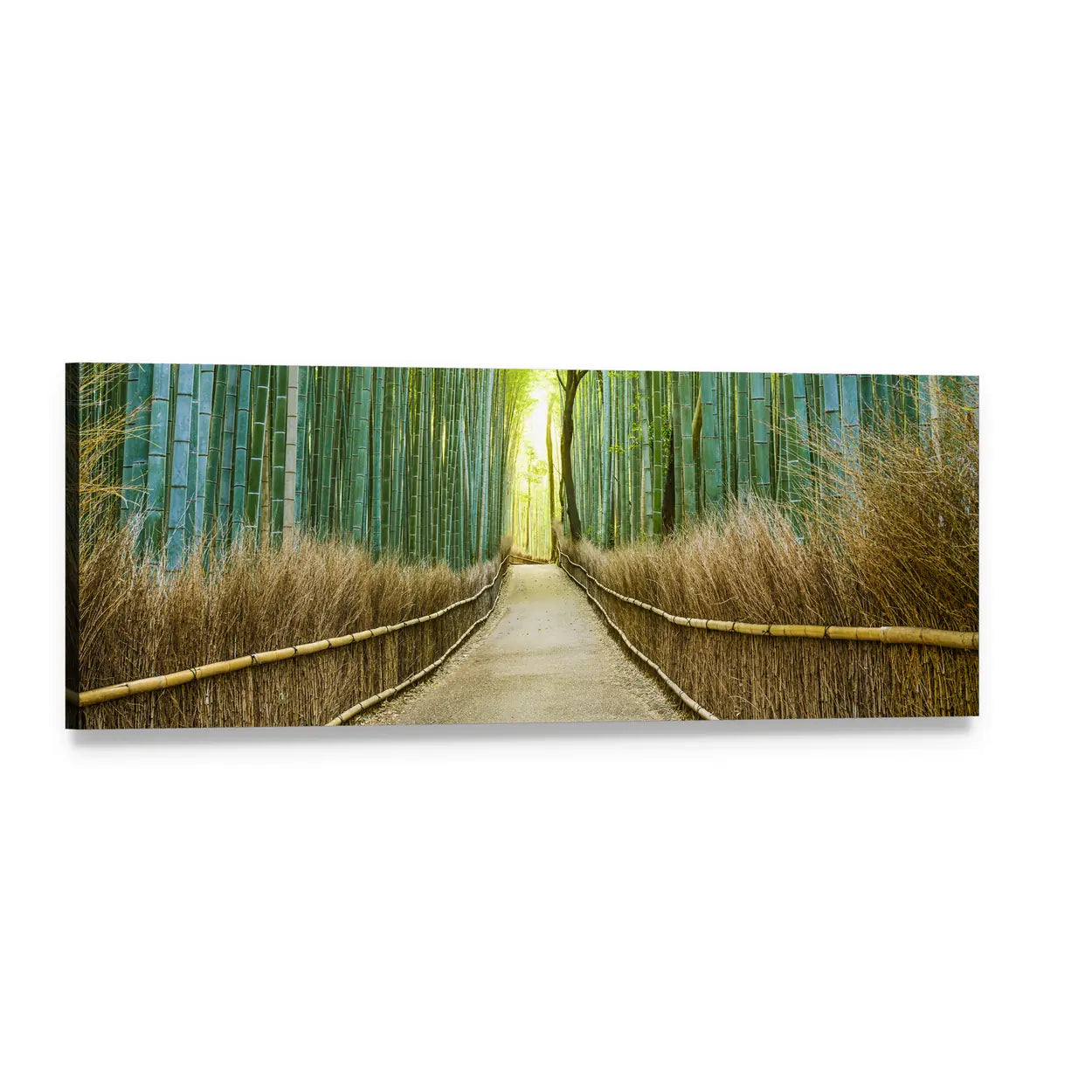 Bamboo Forest Footpath Panoramic Canvas Wall Art, single panel gallery wrapped canvas, angled product view
