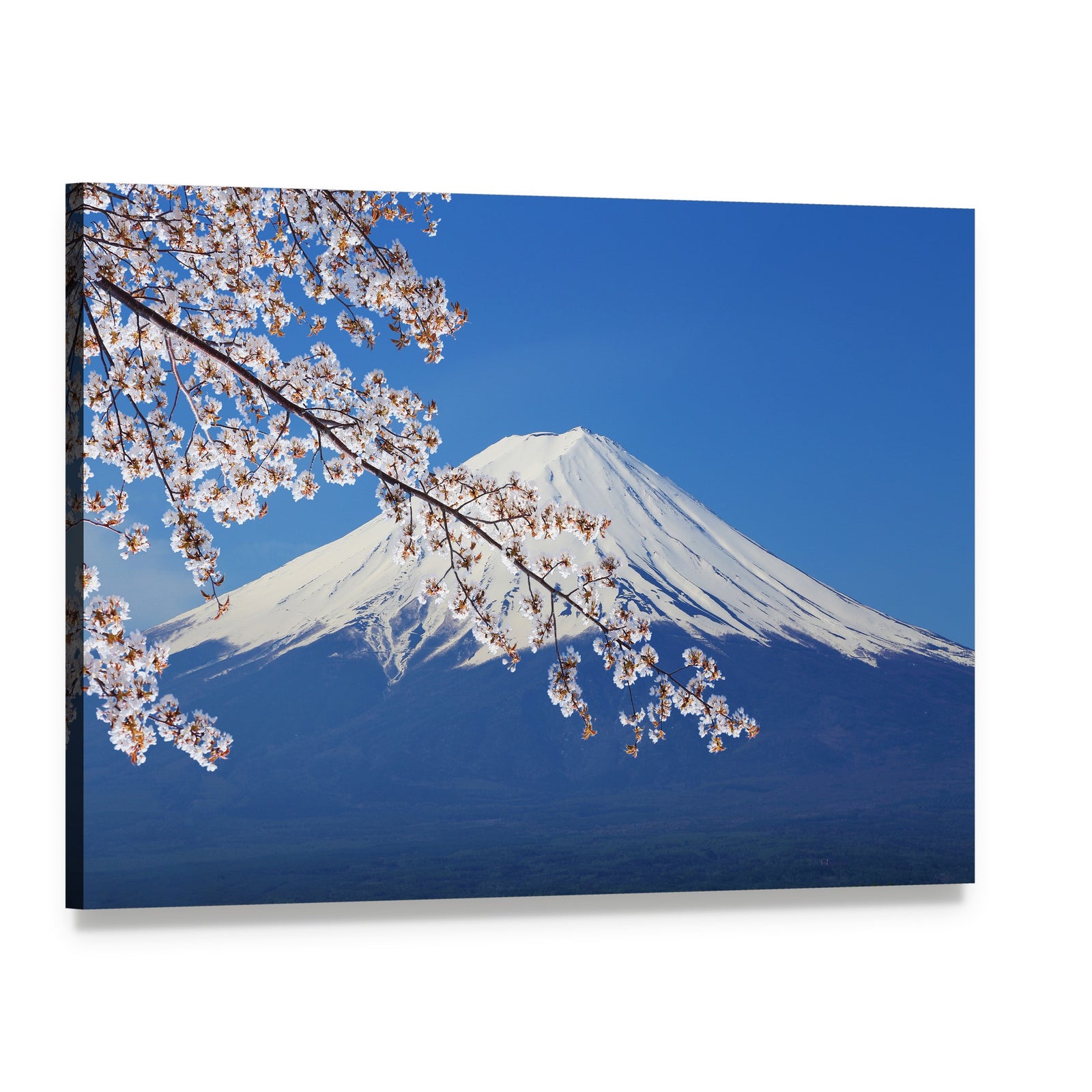 Mount Fuji with Cherry Blossoms in Spring Canvas Wall Art, single panel gallery wrapped canvas, angled product view