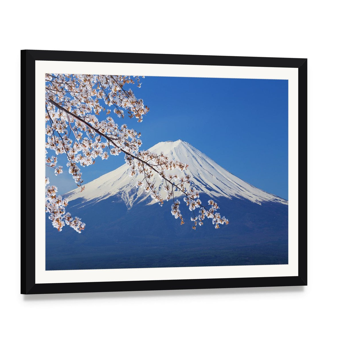 Mount Fuji with Cherry Blossoms in Spring Canvas Wall Art, framed print with white mat and black frame, angled product view
