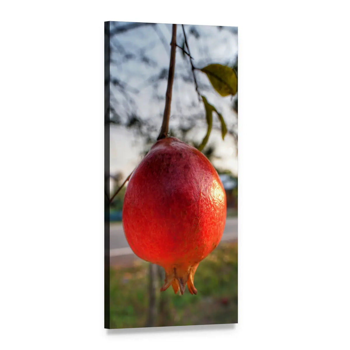 Ripe Pomegranate Hanging Close-up Vertical Canvas Wall Art, 1 panel 1 Vertical layout gallery wrapped canvas set, angled product view