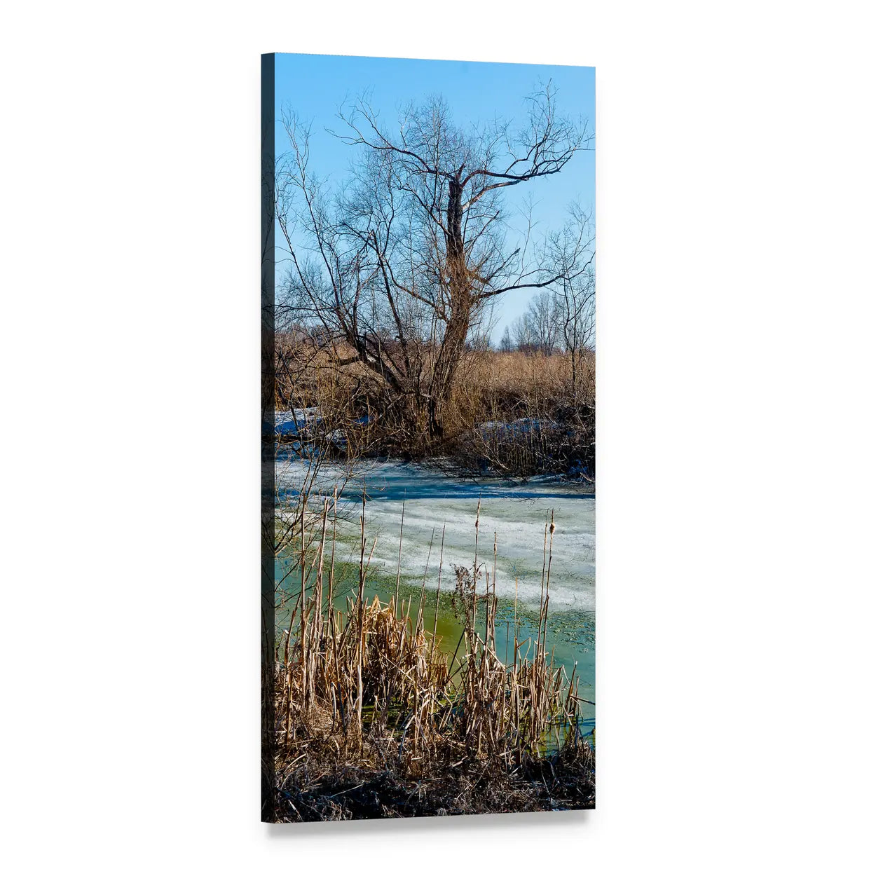 Siberian Autumn Shoreline Vertical Canvas Wall Art, 1 panel 1 Vertical layout gallery wrapped canvas set, angled product view
