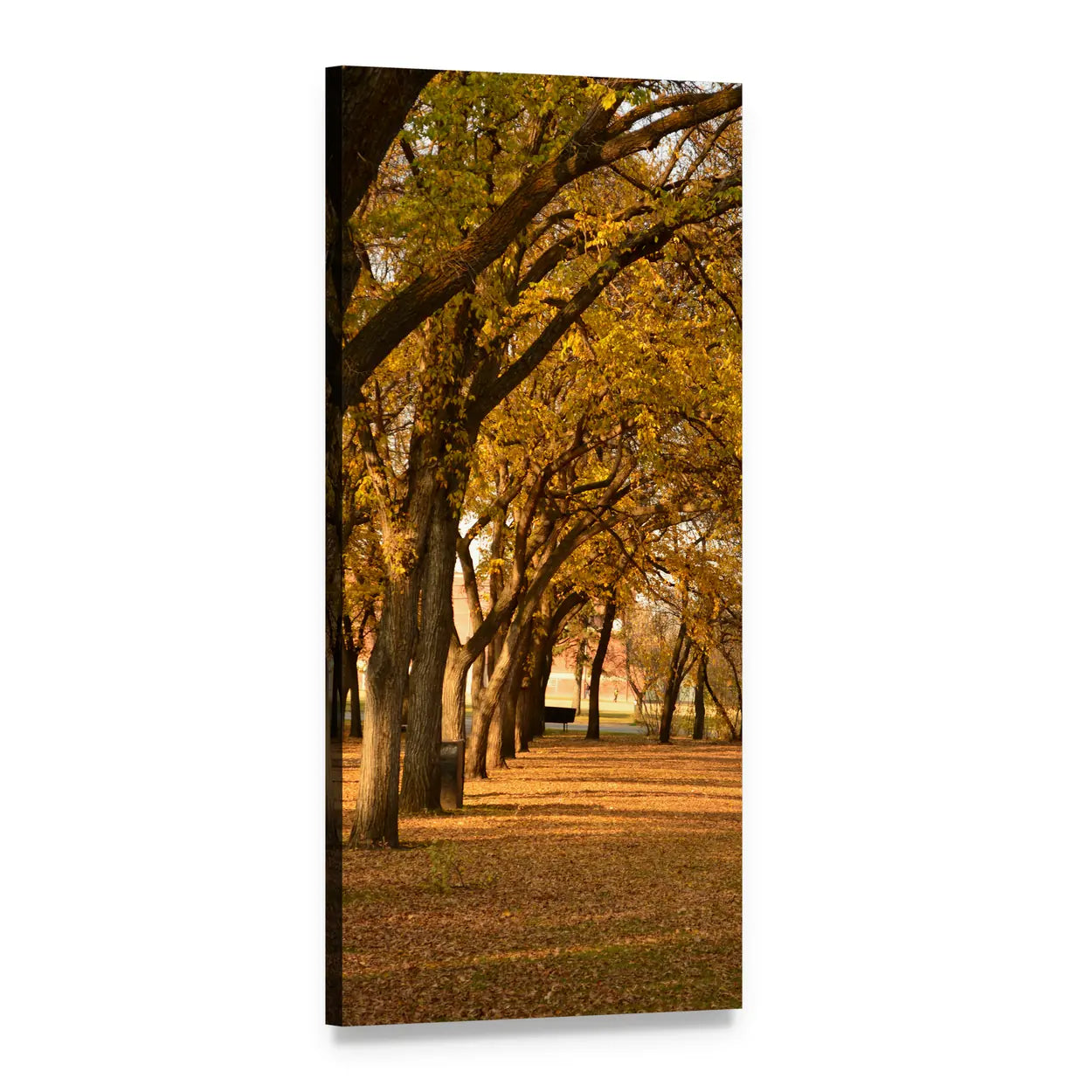 Autumn Tree Tunnel Vertical Canvas Wall Art, 1 panel 1 Vertical layout gallery wrapped canvas set, angled product view