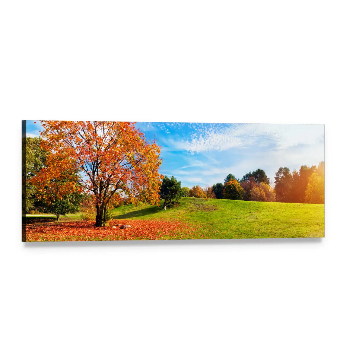 Large Orange Autumn Tree on Green Hill Panoramic Canvas Wall Art, single panel gallery wrapped canvas, angled product view
