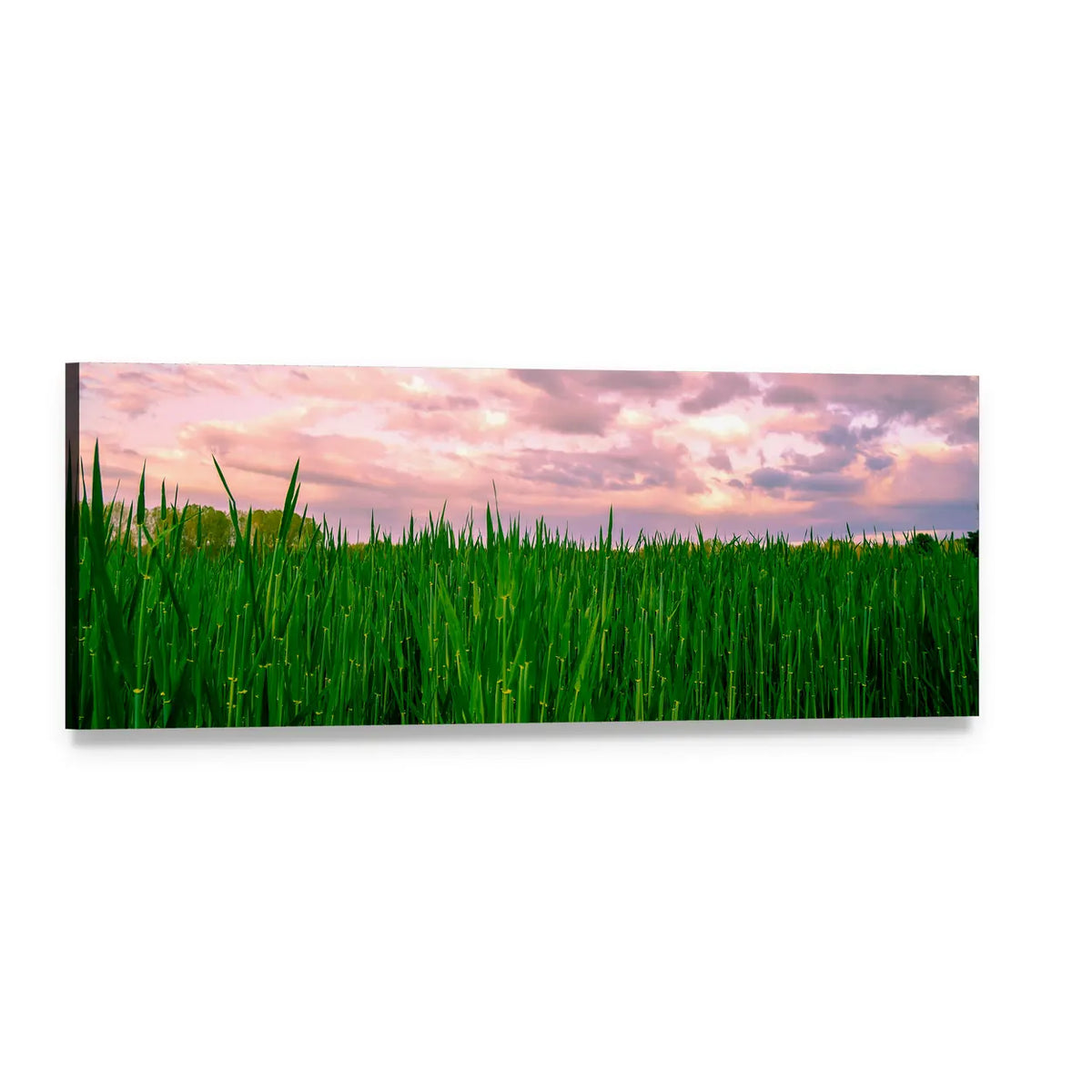 Segovia Fields at Dawn Panoramic Canvas Wall Art, single panel gallery wrapped canvas, angled product view