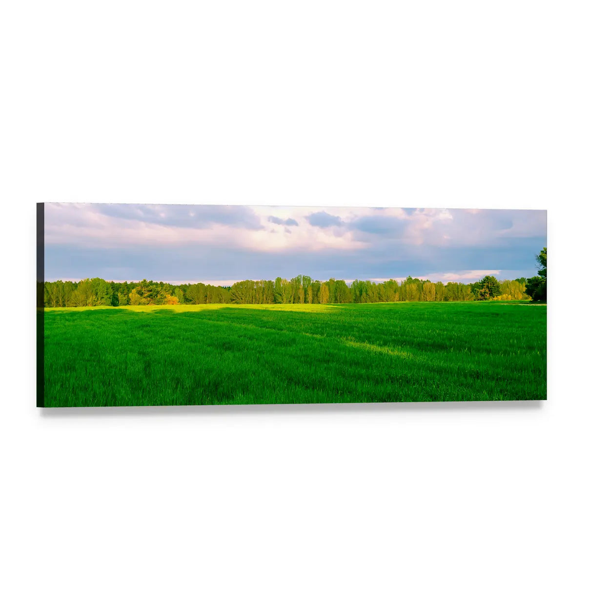 Summer Fields in Segovia Panoramic Canvas Wall Art, single panel gallery wrapped canvas, angled product view