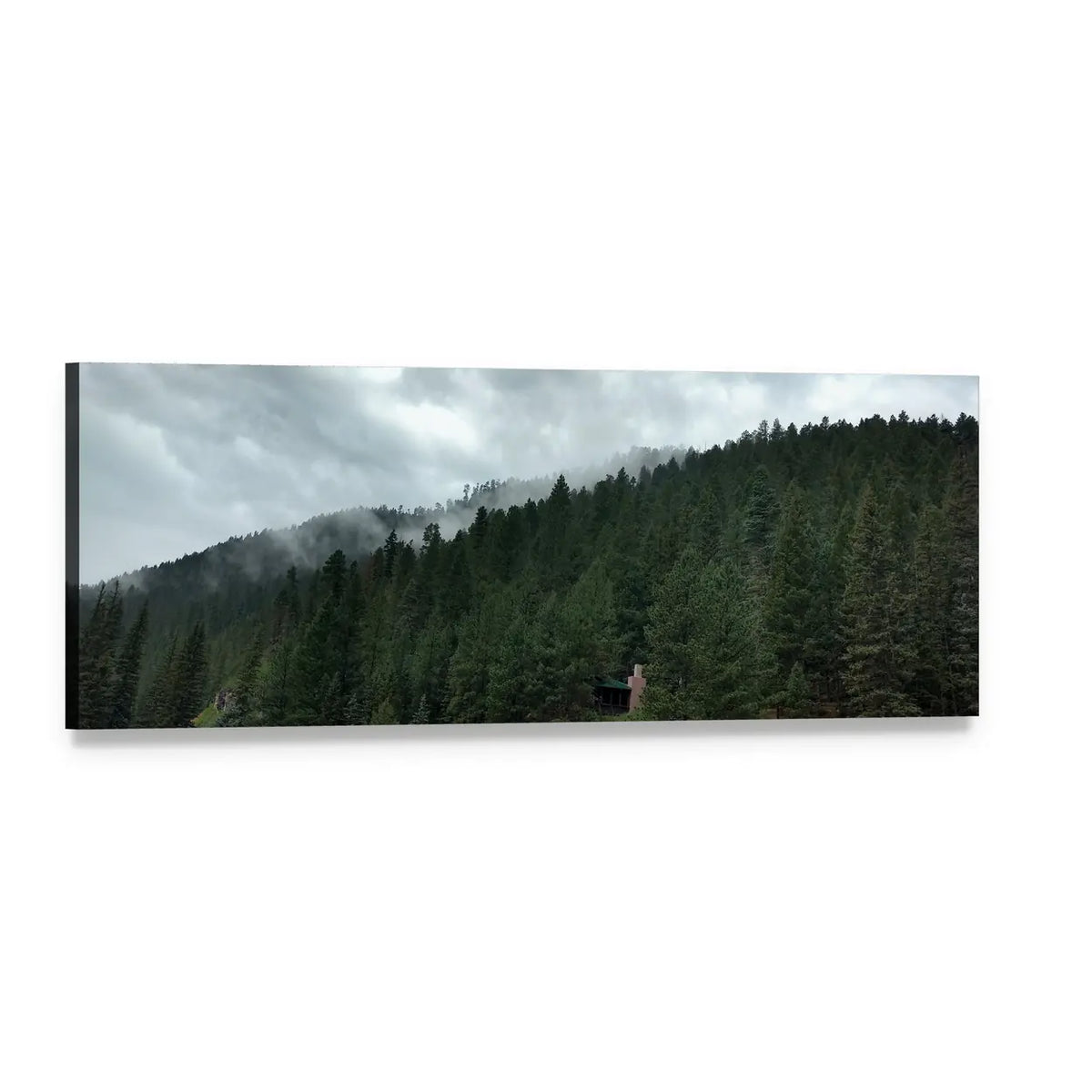Dark Forest Under Clouds Panoramic Canvas Wall Art, single panel gallery wrapped canvas, angled product view