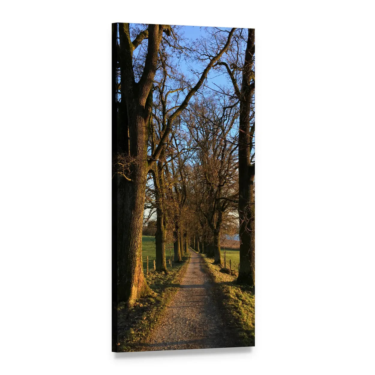 Trees Lining a Winter Path Vertical Canvas Wall Art, 1 panel 1 Vertical layout gallery wrapped canvas set, angled product view