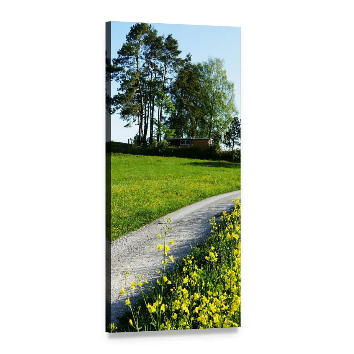Spring Wildflower Field with Gravel Path Vertical Canvas Wall Art, 1 panel 1 Vertical layout gallery wrapped canvas set, angled product view
